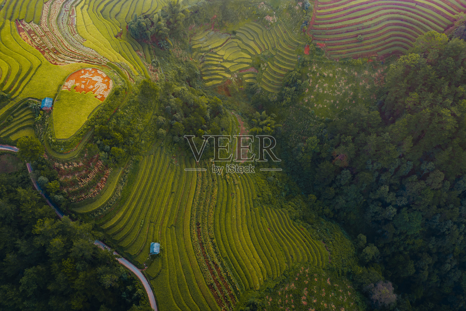 越南北部木江界镇的梯田航拍照片摄影图片
