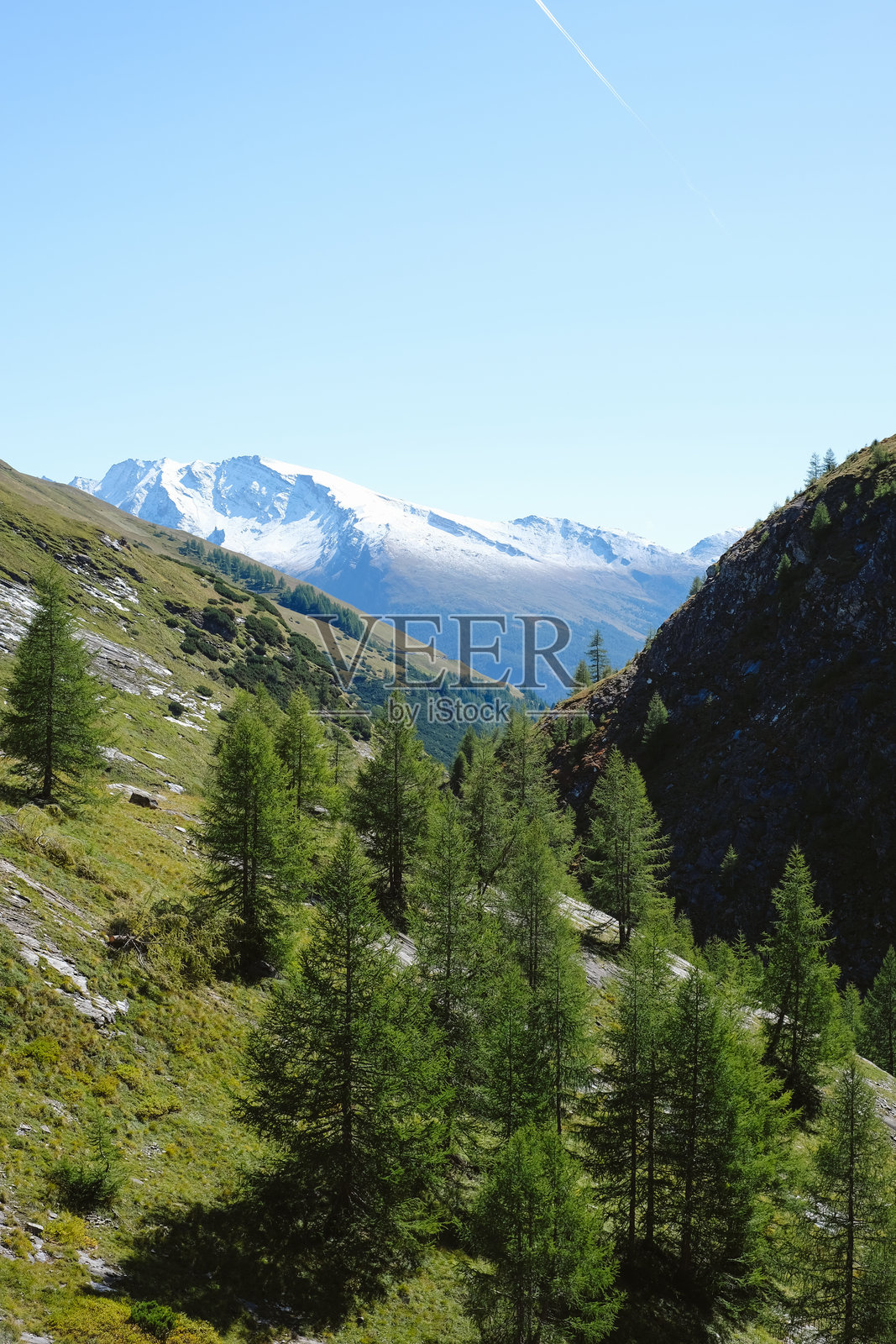 雪山和森林的鸟瞰图照片摄影图片