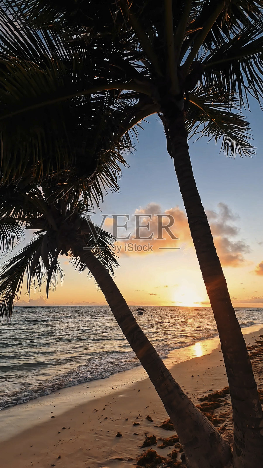 日出时分巴拿马城附近的海滩与海浪照片摄影图片