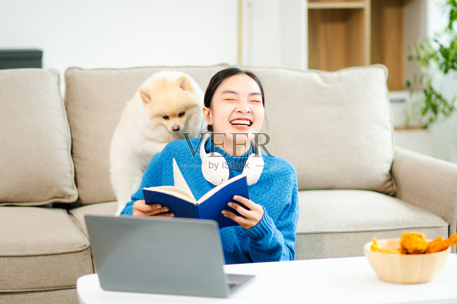 亚洲女性在绿沙发上阅读，旁边是她毛茸茸的狗。一个充满温暖、宠物和宁静快乐的室内生活时刻。照片摄影图片