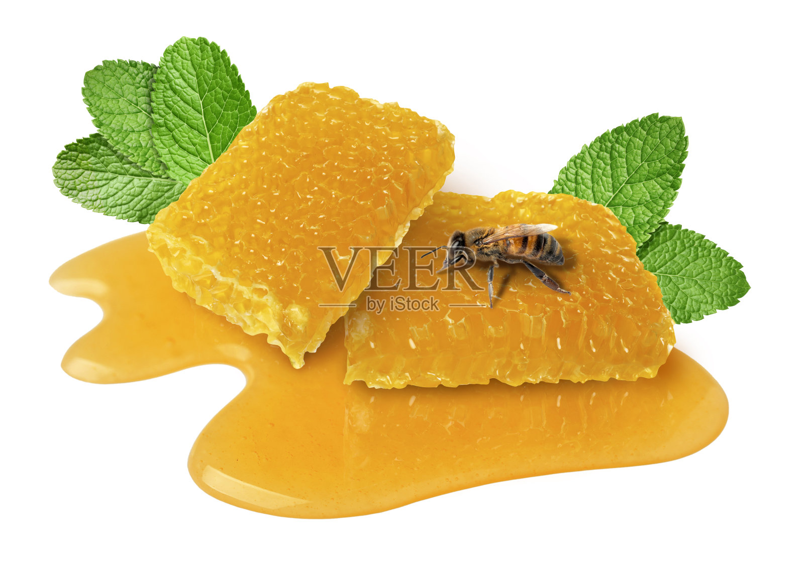 美味的蜂巢、薄荷和蜜蜂在白色背景上照片摄影图片
