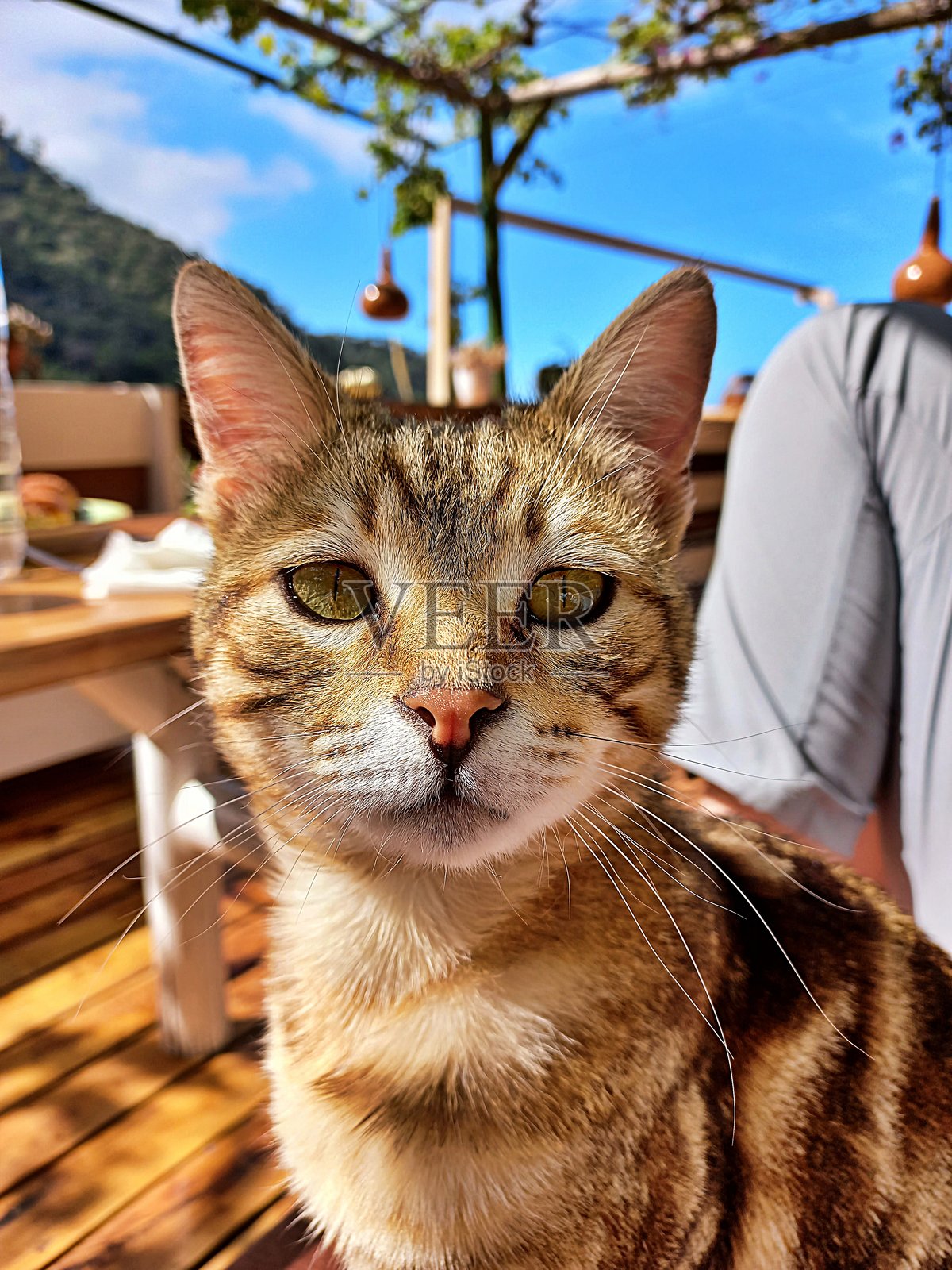 土耳其卡巴克湾的春天 #10照片摄影图片