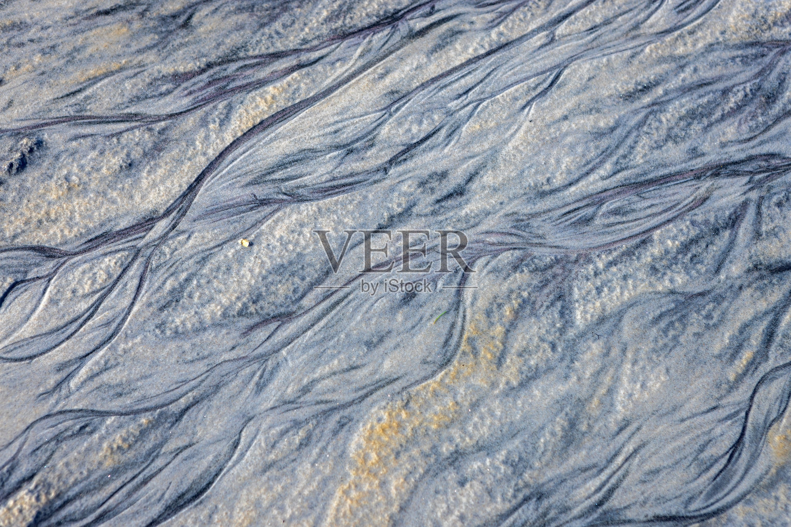 苏格兰高地莫拉尔银沙海滩的特写，美丽的白色沙滩照片摄影图片