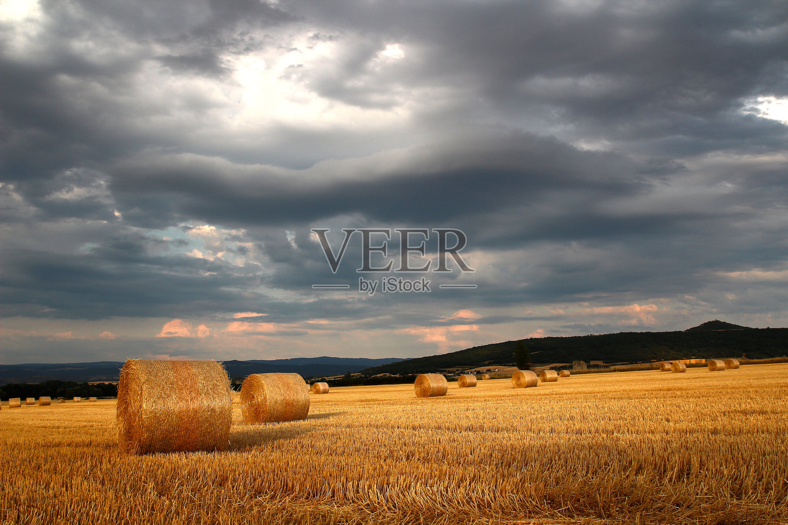暴风雨七月傍晚时分，田野里一排排干草垛靠近布德村（法国奥弗涅-罗讷-阿尔卑斯大区多姆山省）。照片摄影图片