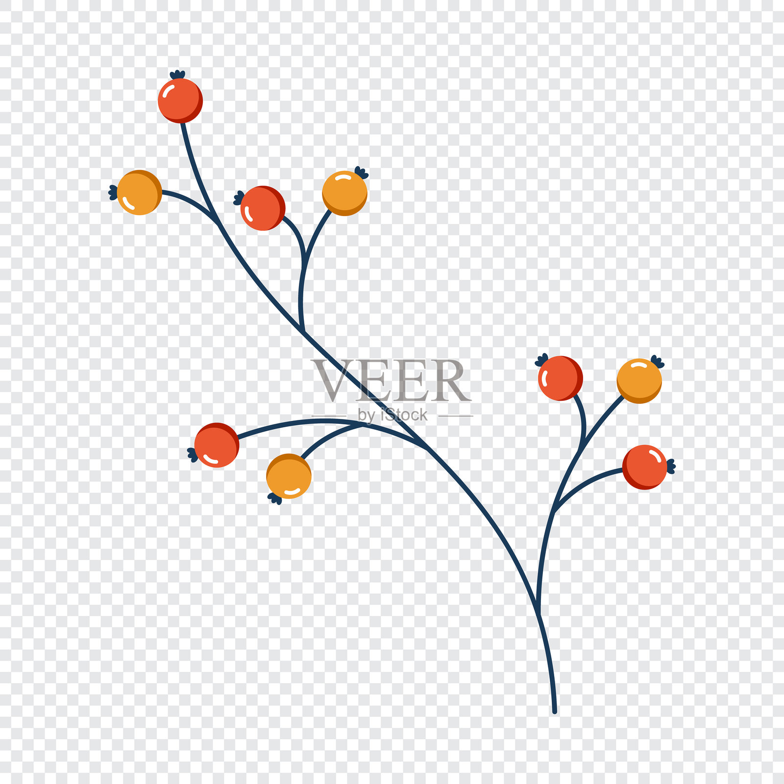 浆果。冬季植物。冬季枝叶。冬季花卉元素。节日装饰。矢量图插画图片素材