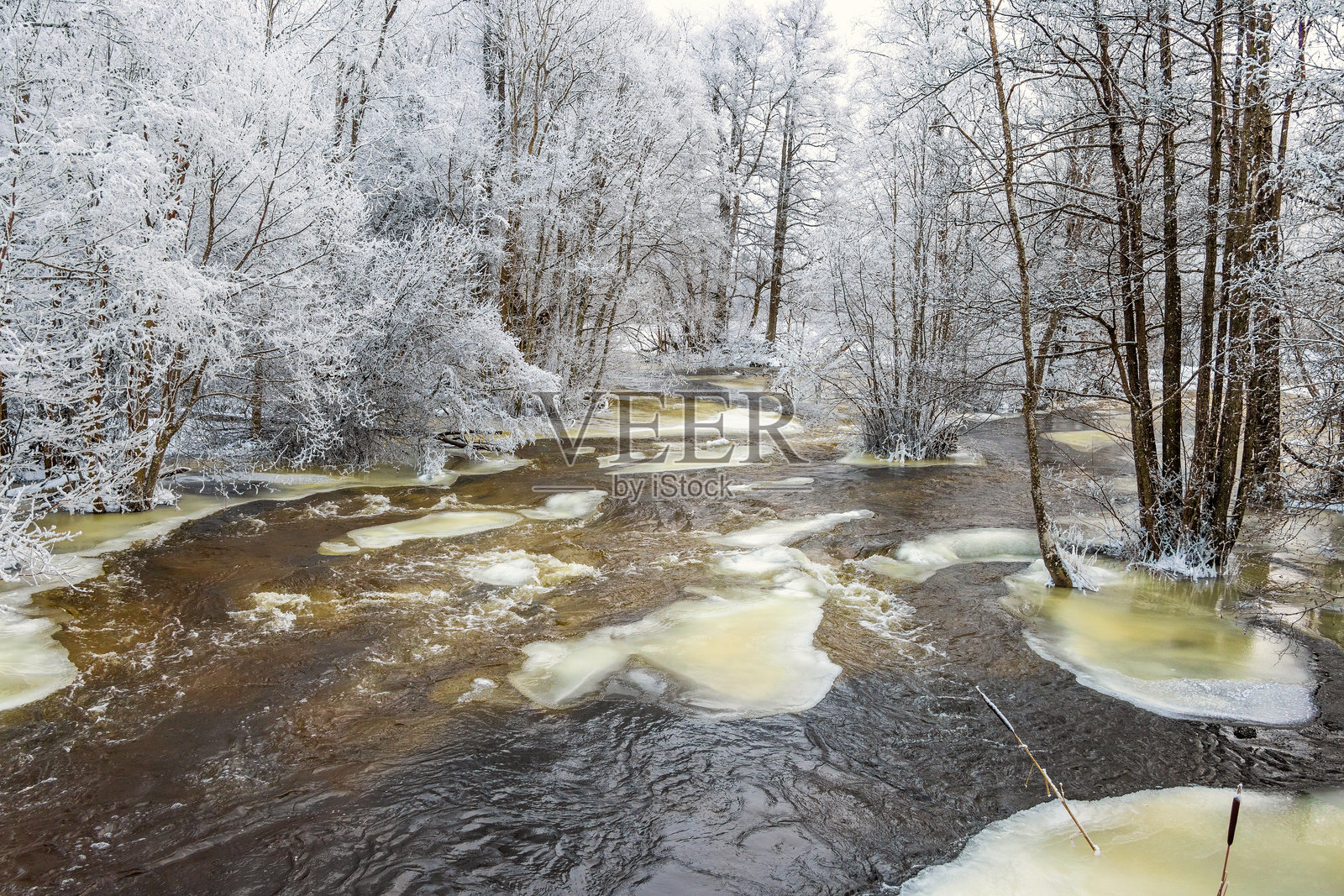 霜冻森林中的河流泛滥景观和浮冰照片摄影图片