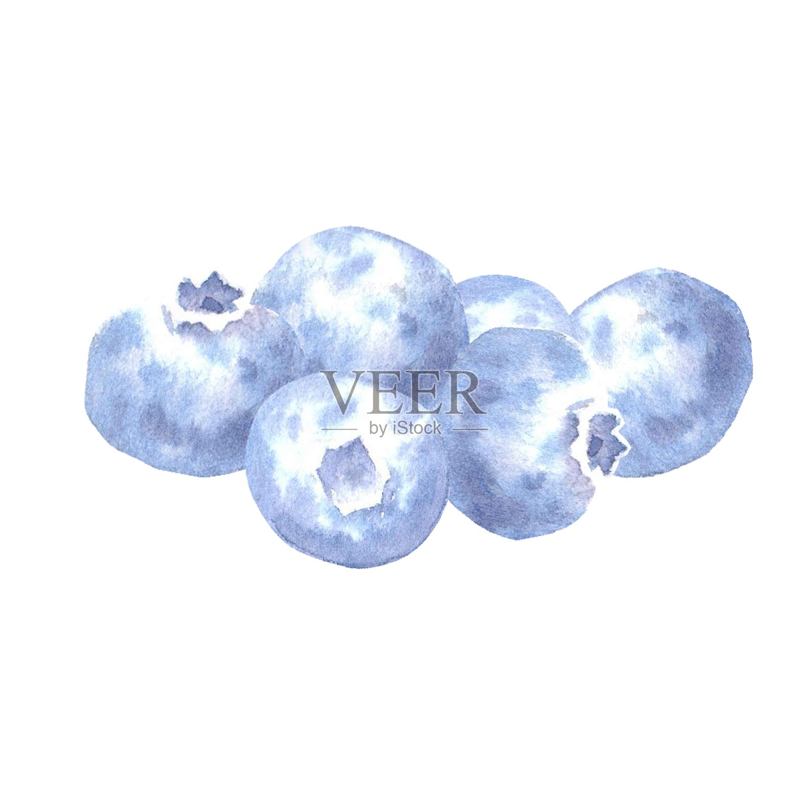 手绘水彩蓝莓，孤立背景，用于商店菜单和广告、织物、贴纸、甜点、烘焙食品、果汁、水果饮料的设计。插画图片素材