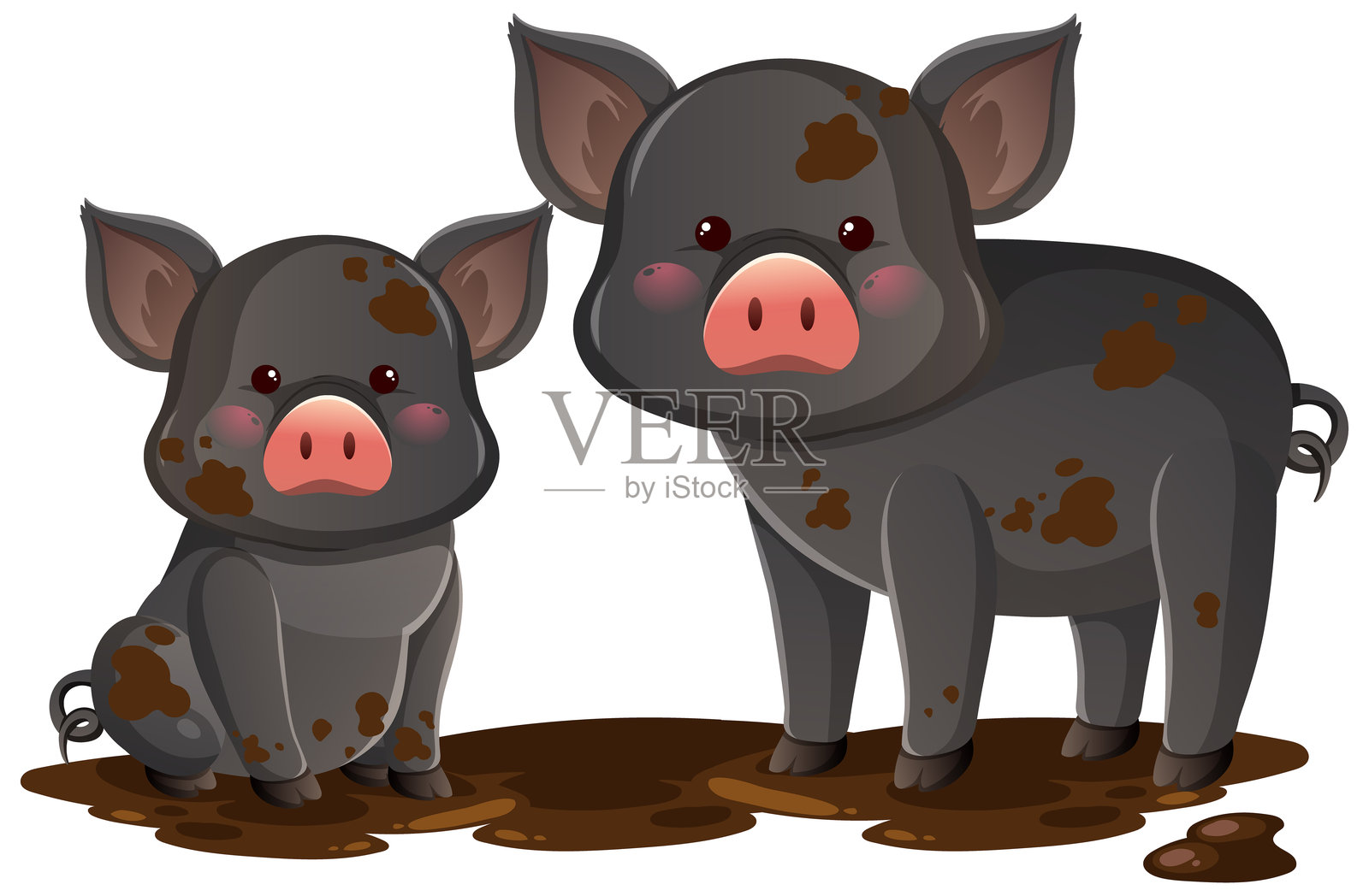 两只泥泞的小猪站在湿地上插画图片素材