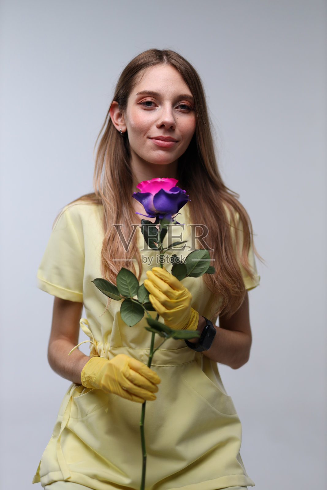 身穿黄色服装和手套的年轻高加索女性，手持双色紫色玫瑰照片摄影图片