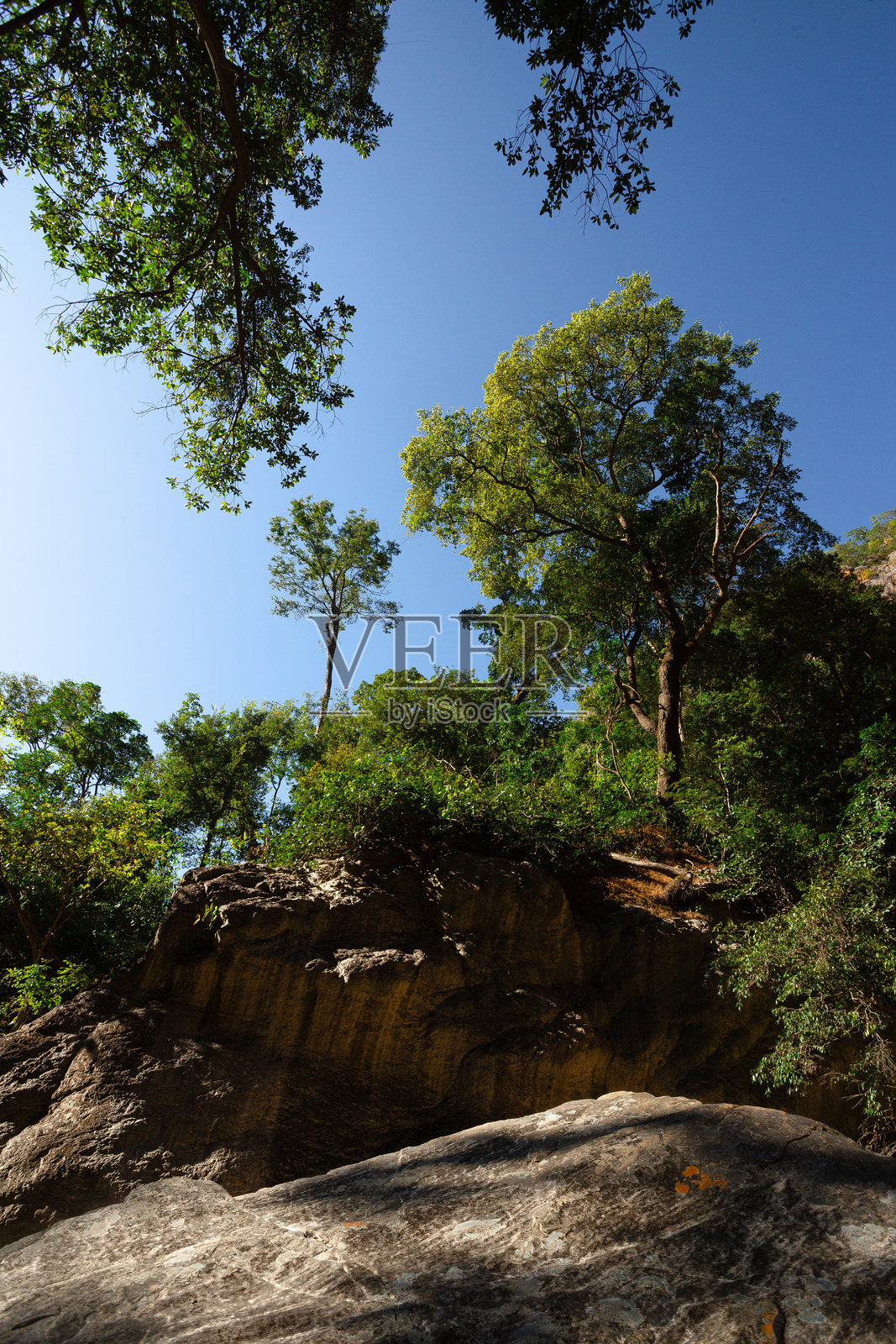 仰视岩石顶端树木，背景为蓝天照片摄影图片