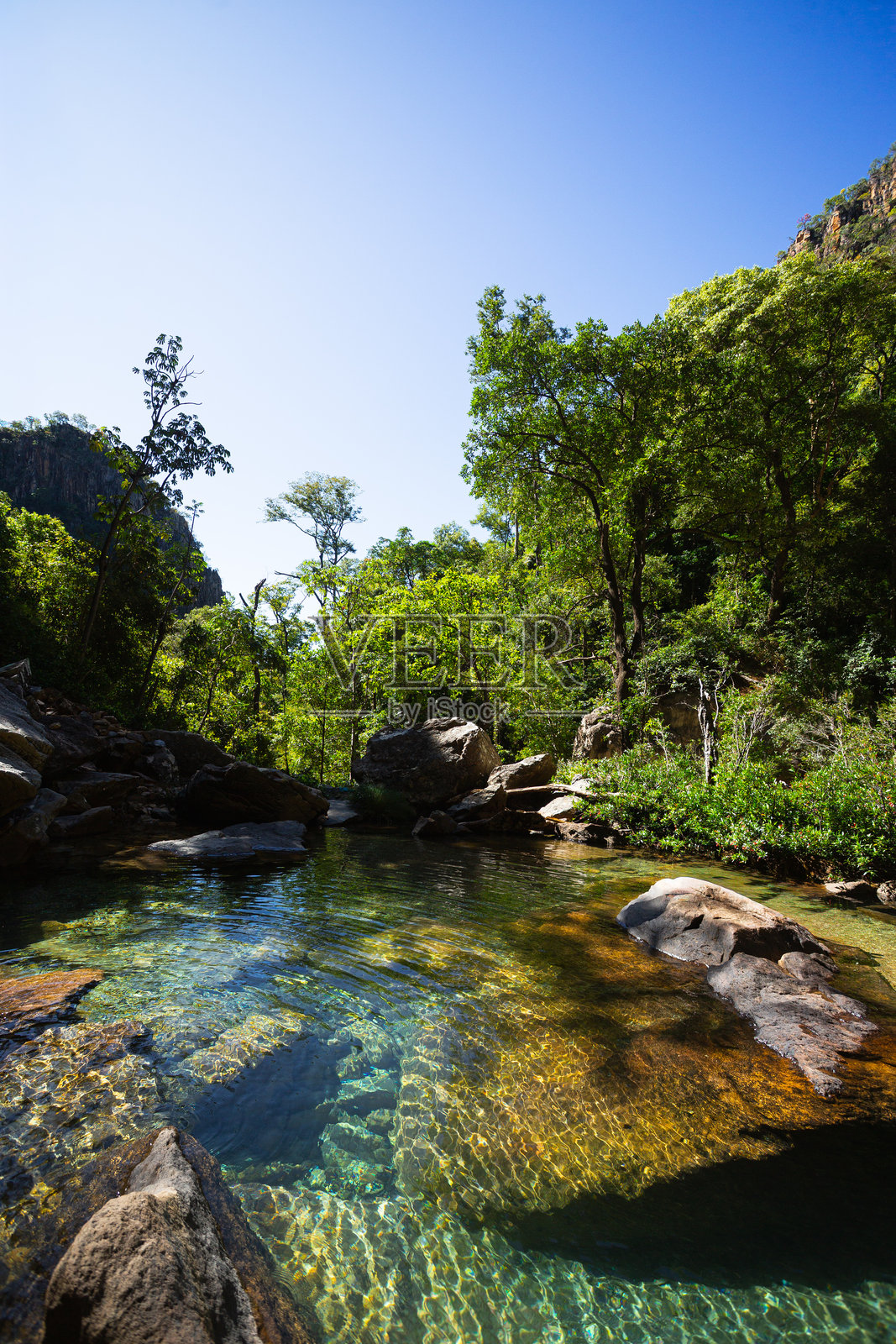 热带森林中清澈见底的天然岩石池塘照片摄影图片