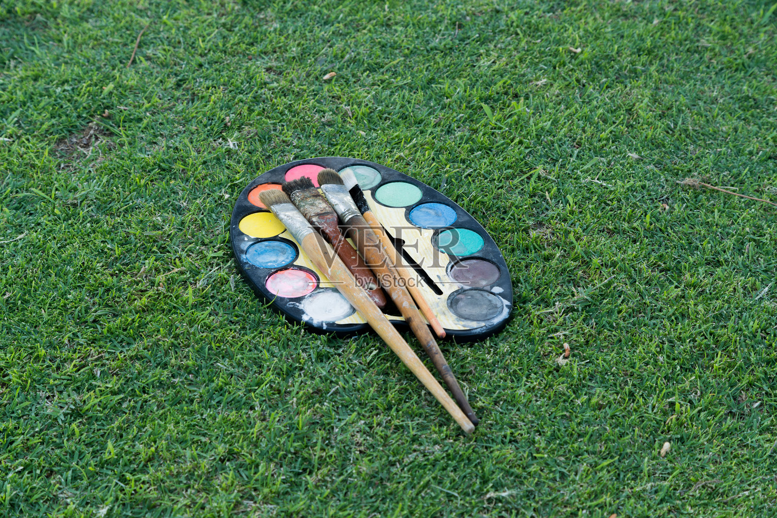 绿草地上的水彩调色板和画笔照片摄影图片