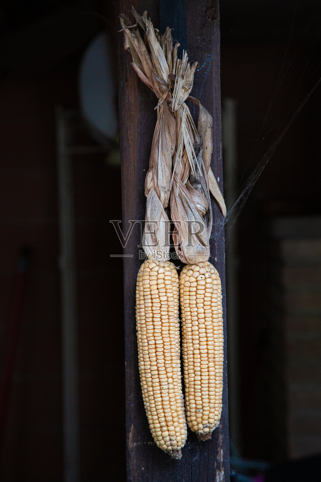 农舍内饰的丰收主题质朴陈设照片摄影图片