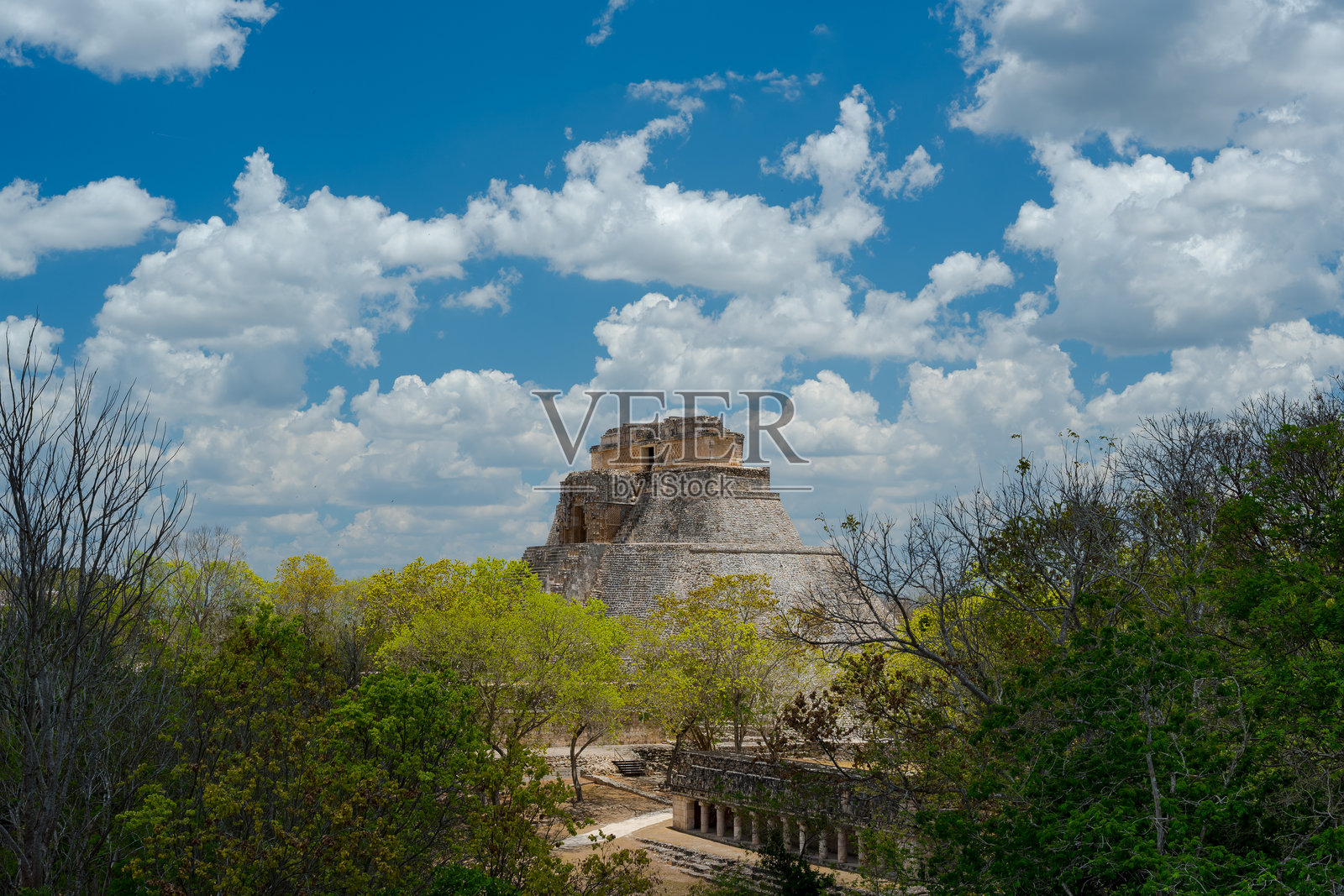 墨西哥乌斯马尔金字塔景观照片摄影图片