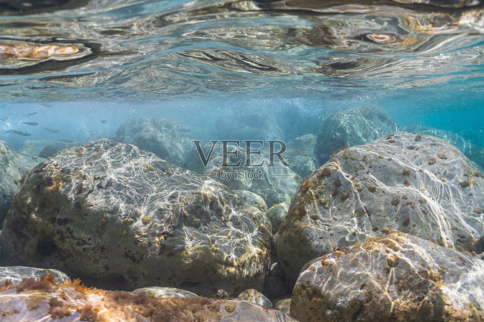 法国蔚蓝海岸圣让卡普费拉，清澈蓝色的海水和阳光照射下的岩石海底景象。照片摄影图片