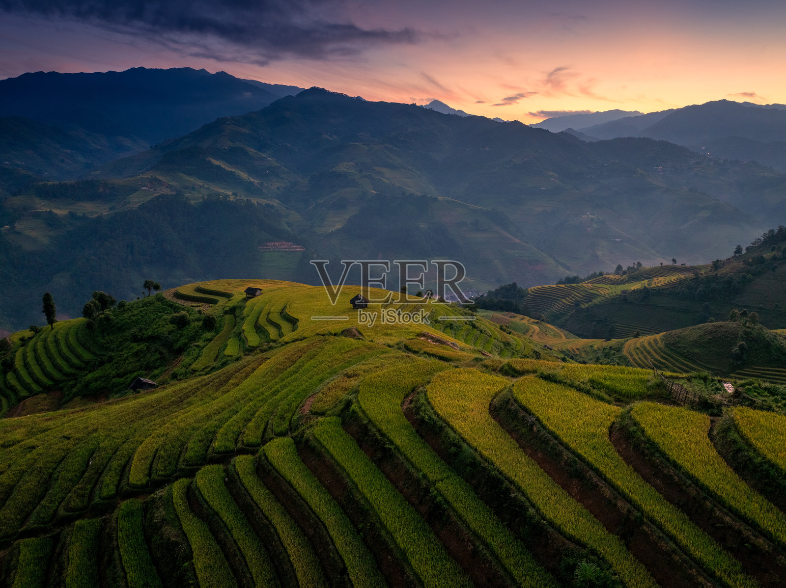 越南北部沙巴市附近的穆 cang 柴镇金诺伊公社稻田的鸟瞰图照片摄影图片
