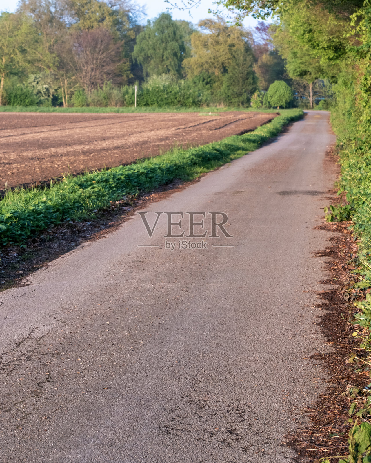 一条狭窄的沥青路穿过耕地和茂盛的植被照片摄影图片