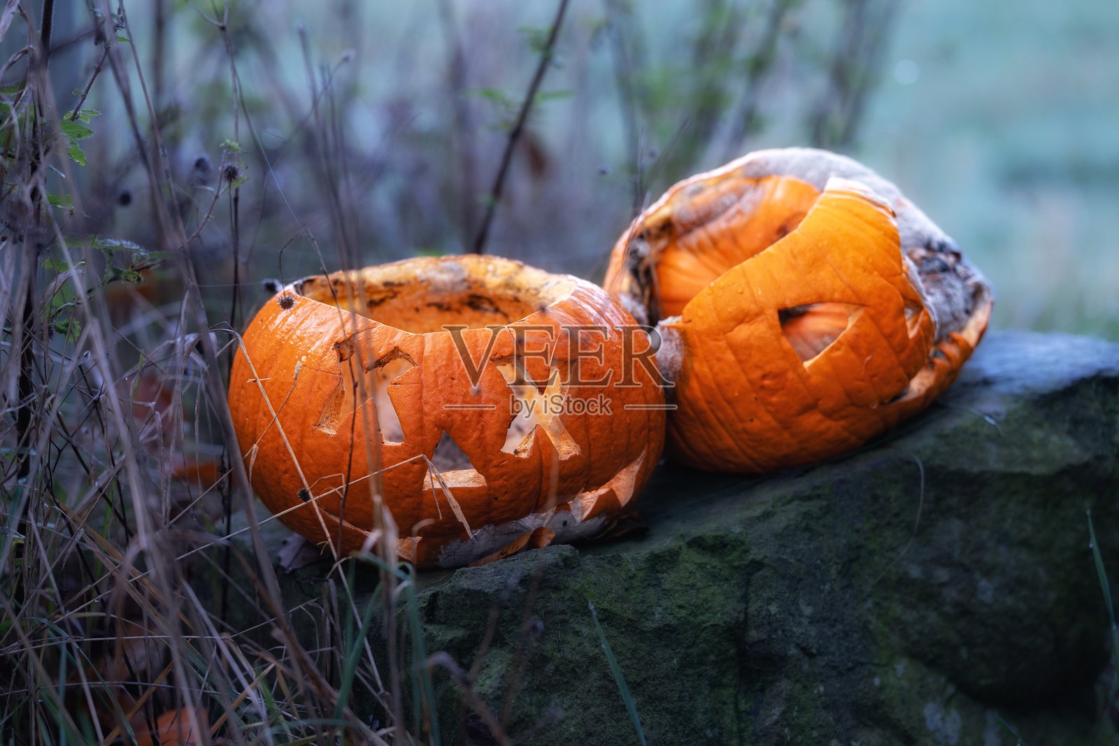 特写两只正在腐烂的雕刻南瓜，展现出丰富的有机纹理。照片摄影图片