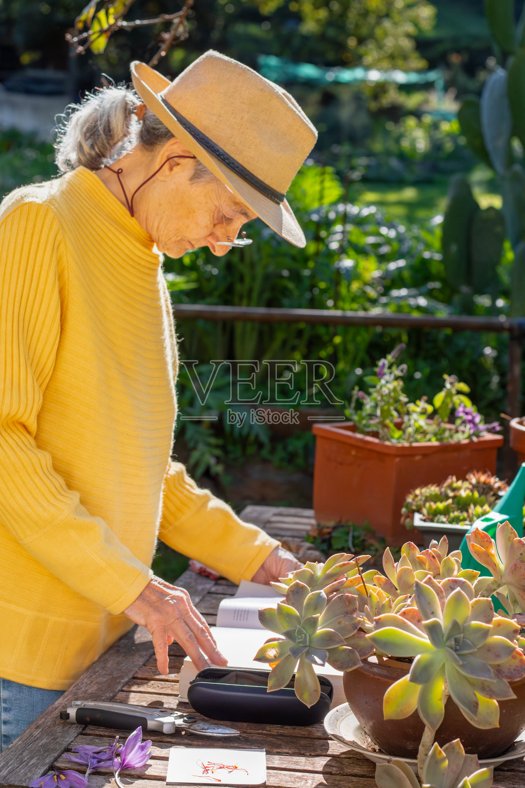 一位年长女性正在查阅植物书籍照片摄影图片