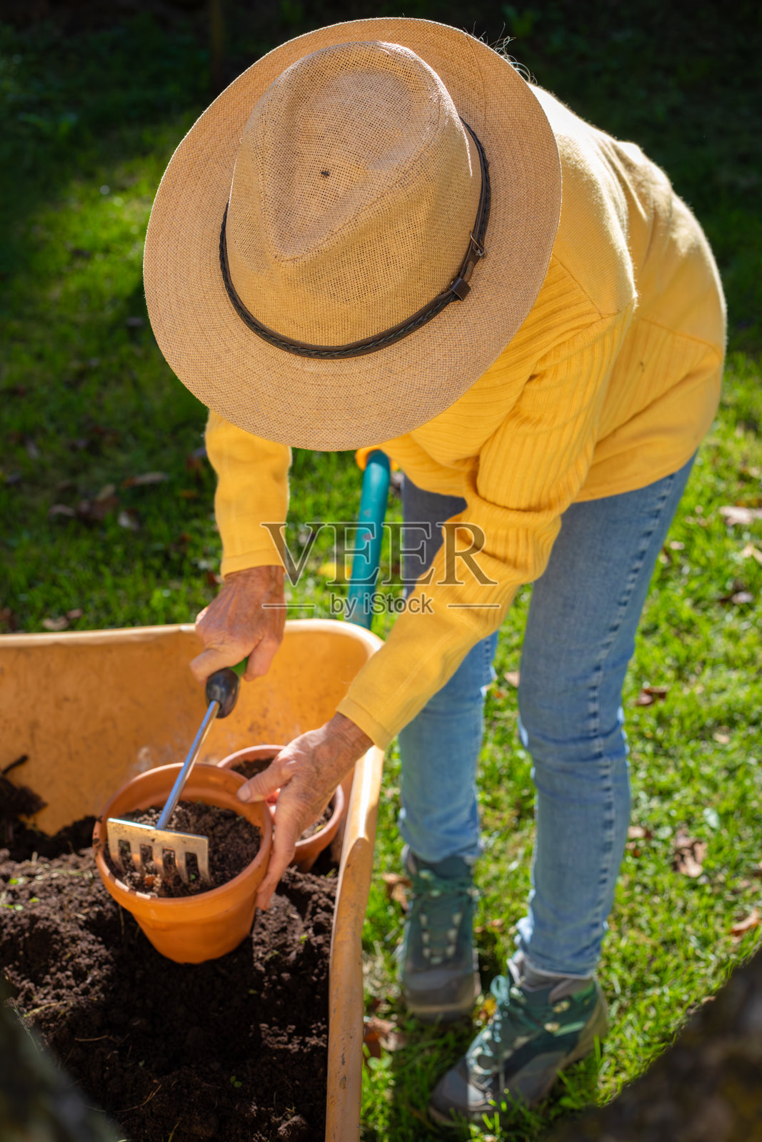 一位年长的女性正在舀土照片摄影图片