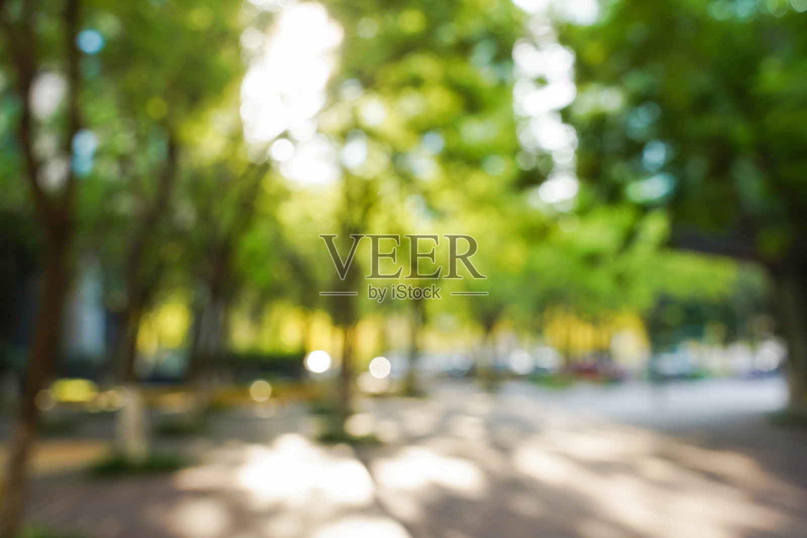 阳光下的办公楼绿化带模糊景象，有树木照片摄影图片