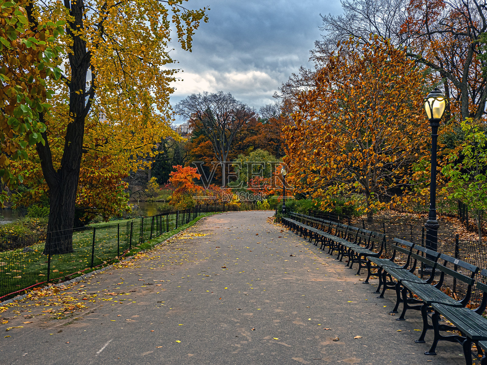 中央公园的秋景照片摄影图片