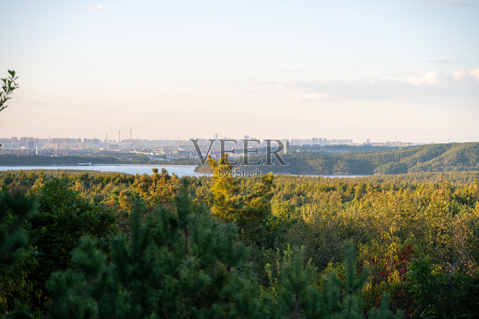 城市与自然的交汇：远方的城市天际线与葱郁的森林景观照片摄影图片