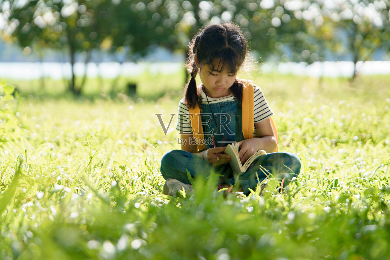 女孩在户外进行科学研究并做笔记照片摄影图片
