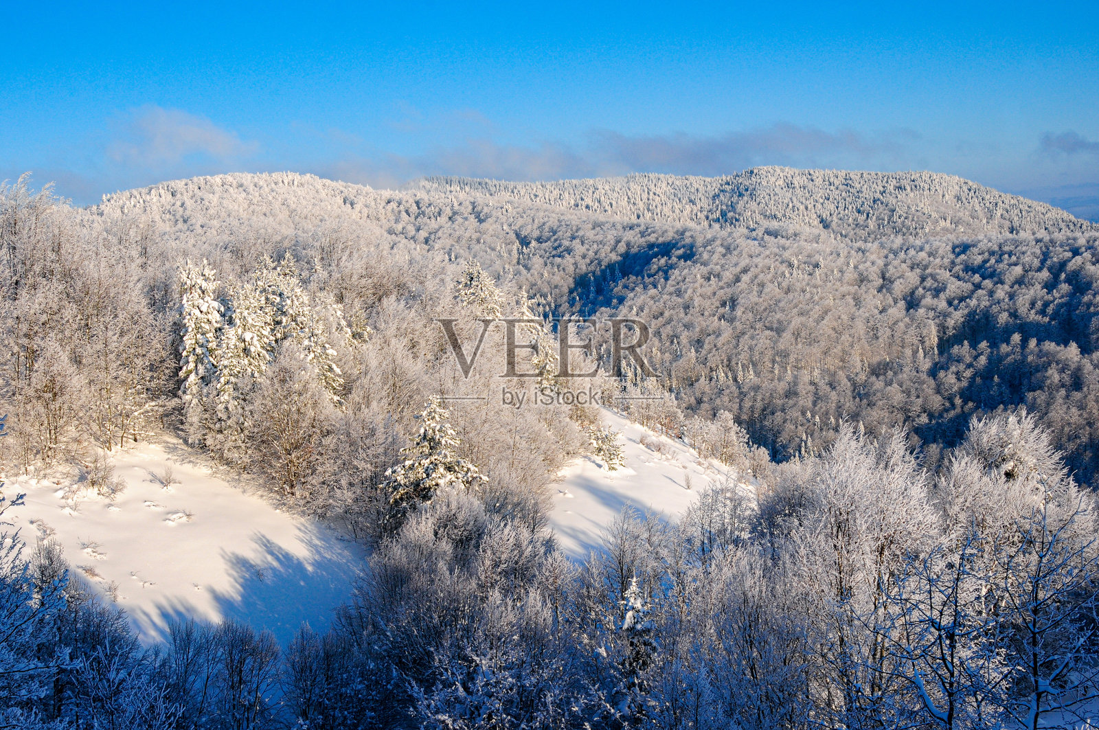 冬季森林中，积雪覆盖的树木，航拍视角 - 库雷山照片摄影图片