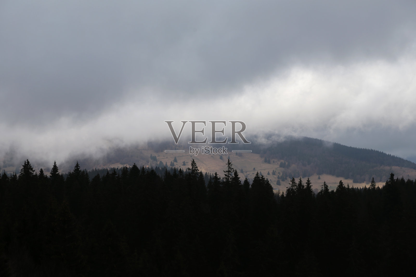 黑森林照片摄影图片