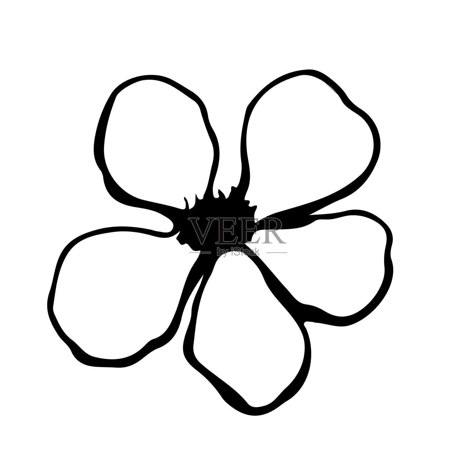 花卉矢量草图插画图片素材