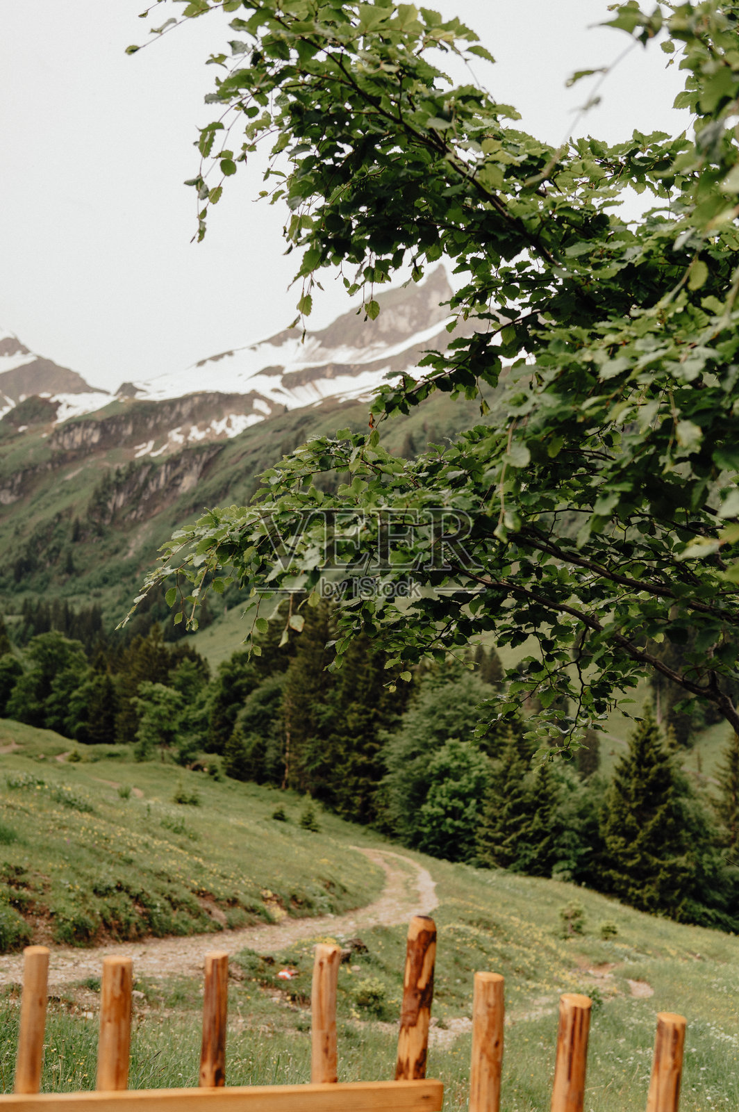 阿尔高地区，山间小径蜿蜒穿过高山山谷和雪山之巅照片摄影图片
