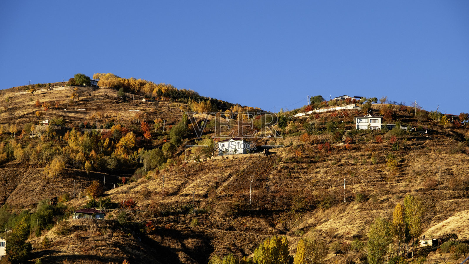 葡萄园和葡萄园房屋照片摄影图片