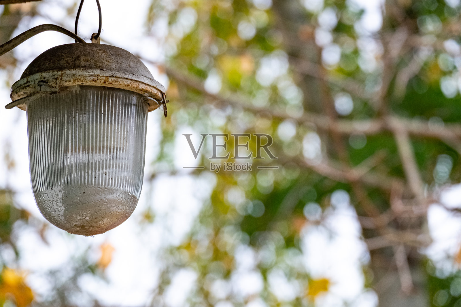 复古户外灯，周围环绕着模糊的绿色树叶和秋叶，在自然环境中营造出怀旧的氛围照片摄影图片