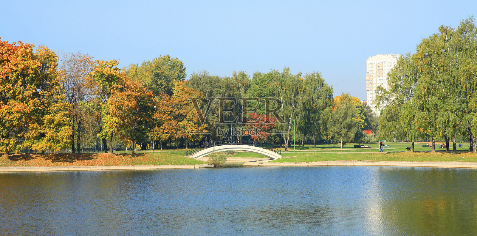 秋天的公园照片摄影图片