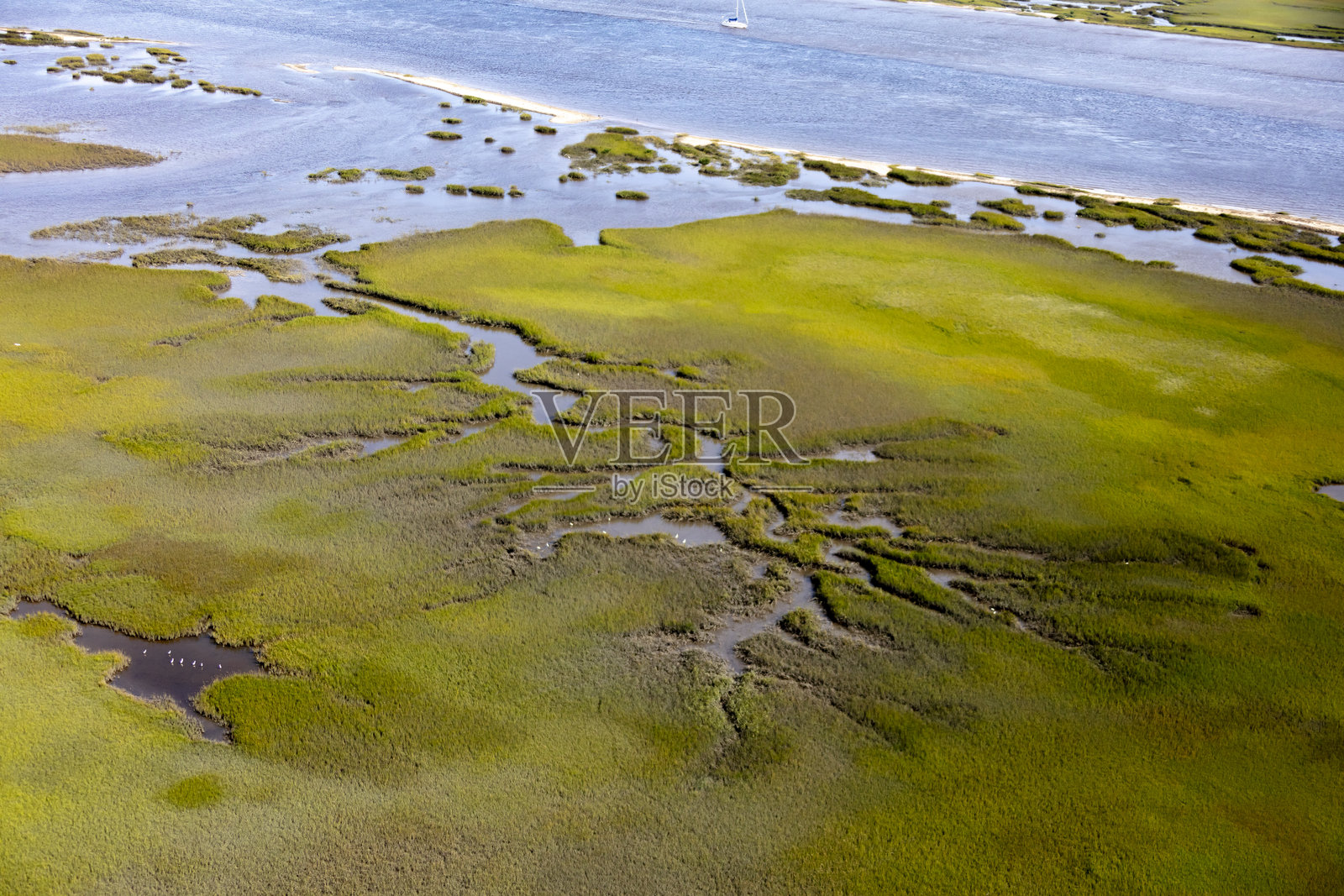 海水盐沼照片摄影图片
