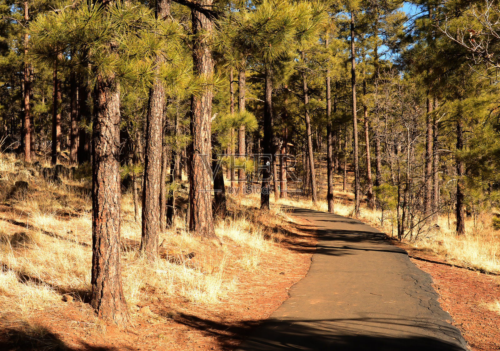 亚利桑那州林湖步道照片摄影图片