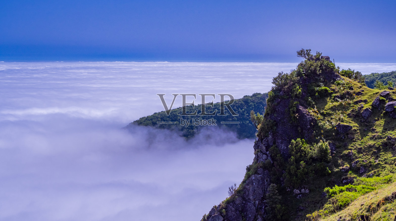 马德拉保罗达塞拉劳里西尔瓦森林神秘法纳尔森林的雾海景观，法纳尔小径，联合国教科文组织世界遗产，葡萄牙照片摄影图片