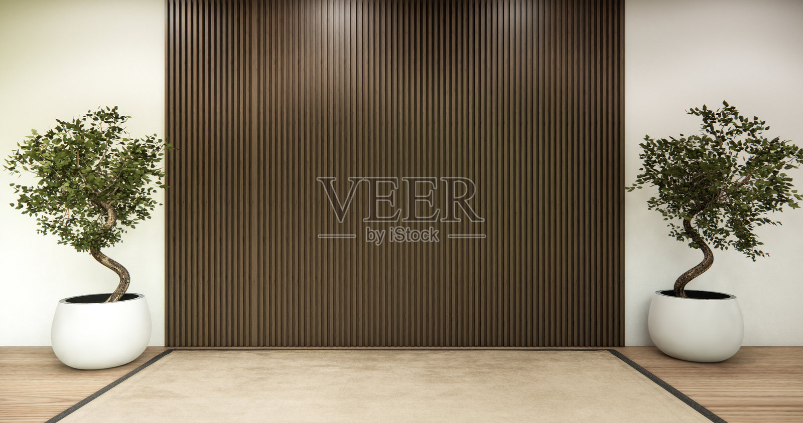 建筑和室内概念空房间和木板墙背景三维插画渲染照片摄影图片