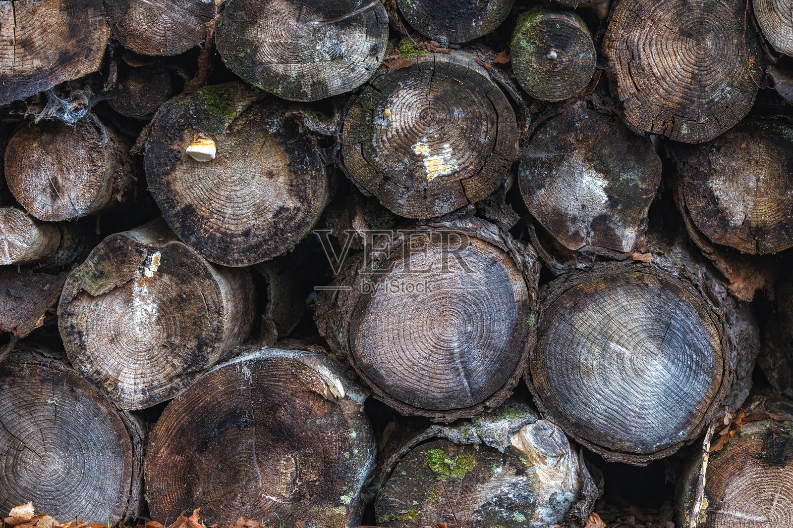 森林里的柴火堆，特写。照片摄影图片