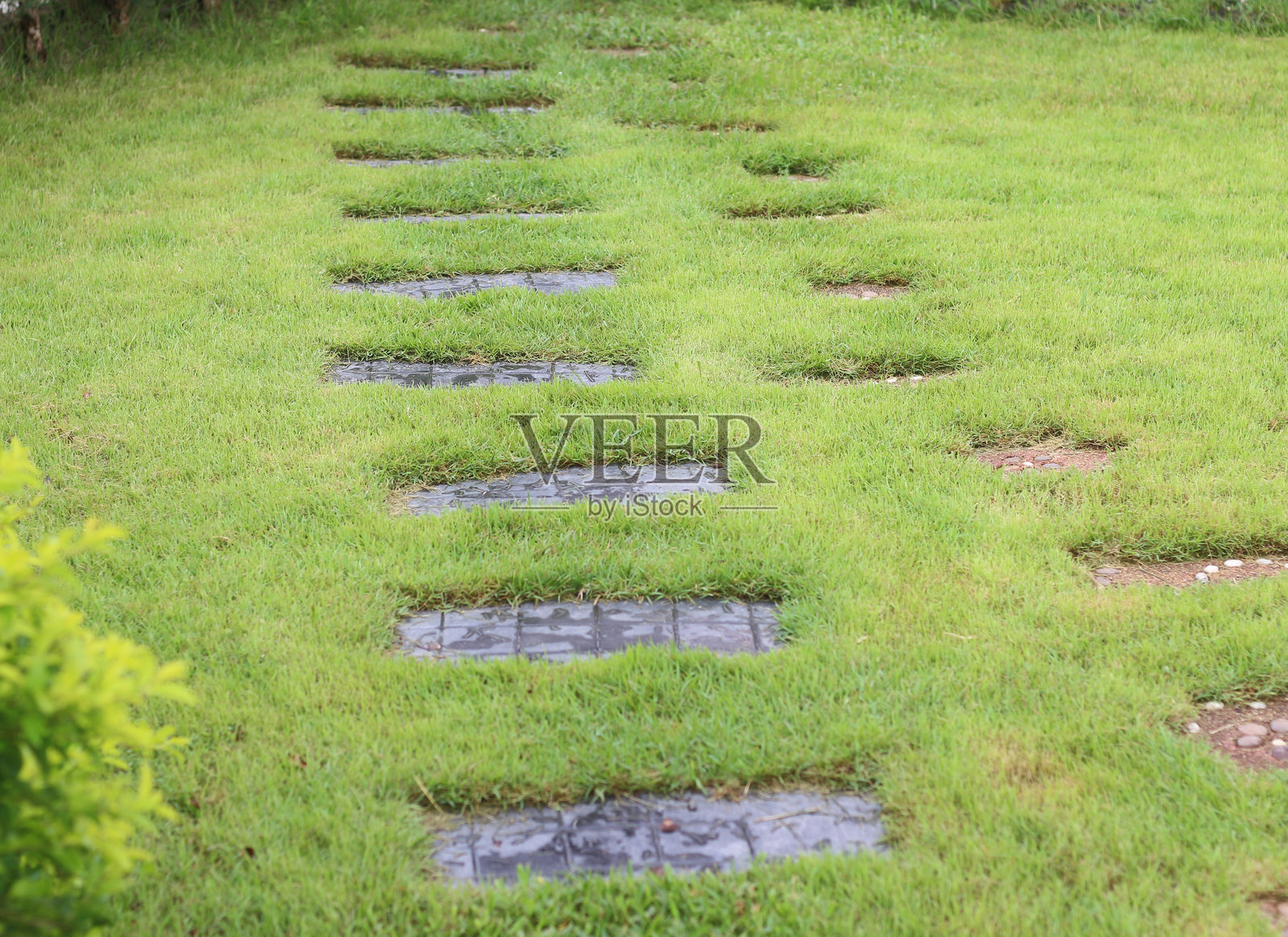 一条美丽花园中的小径照片摄影图片