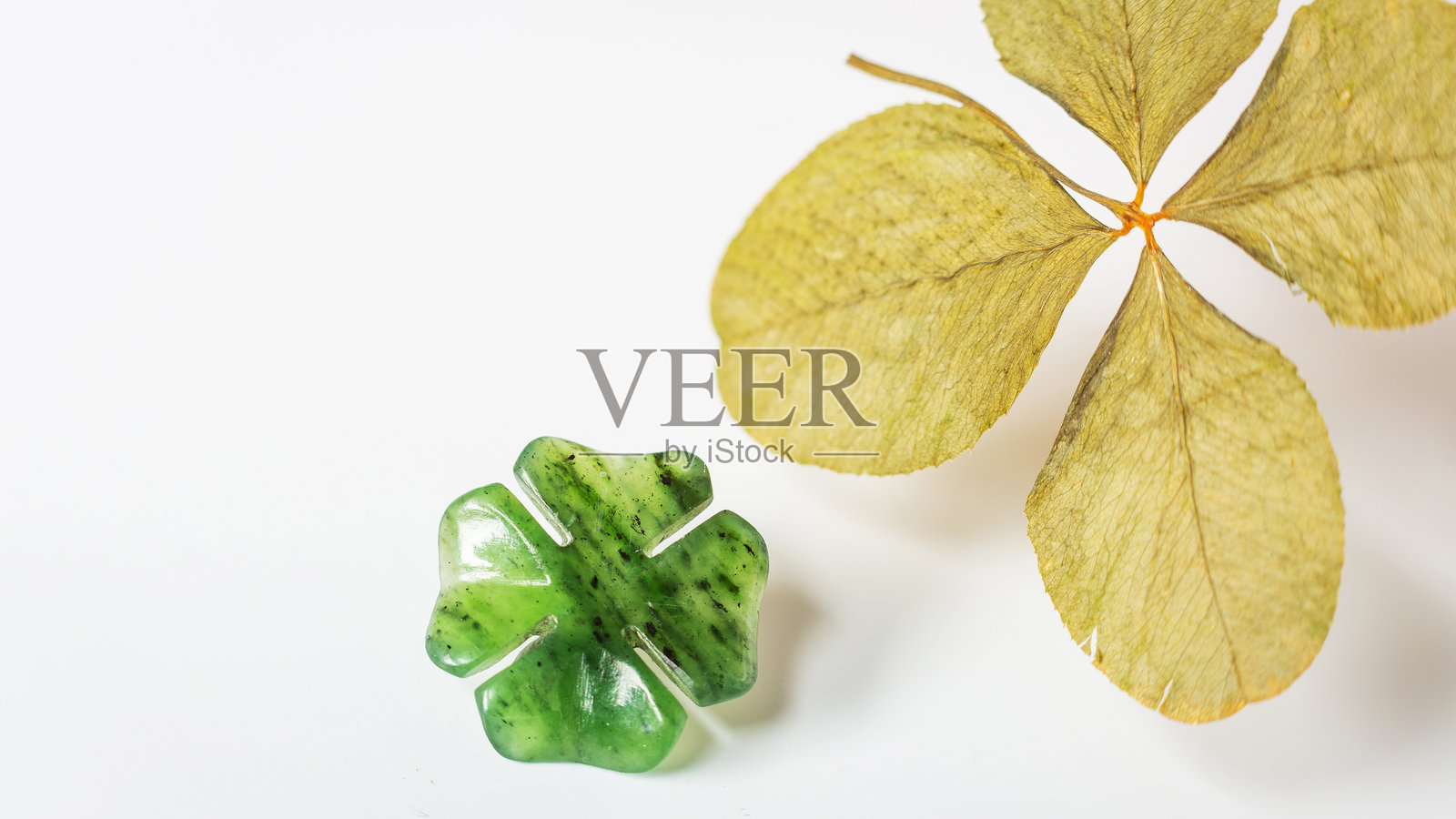 四叶草在背景上的细节照片摄影图片