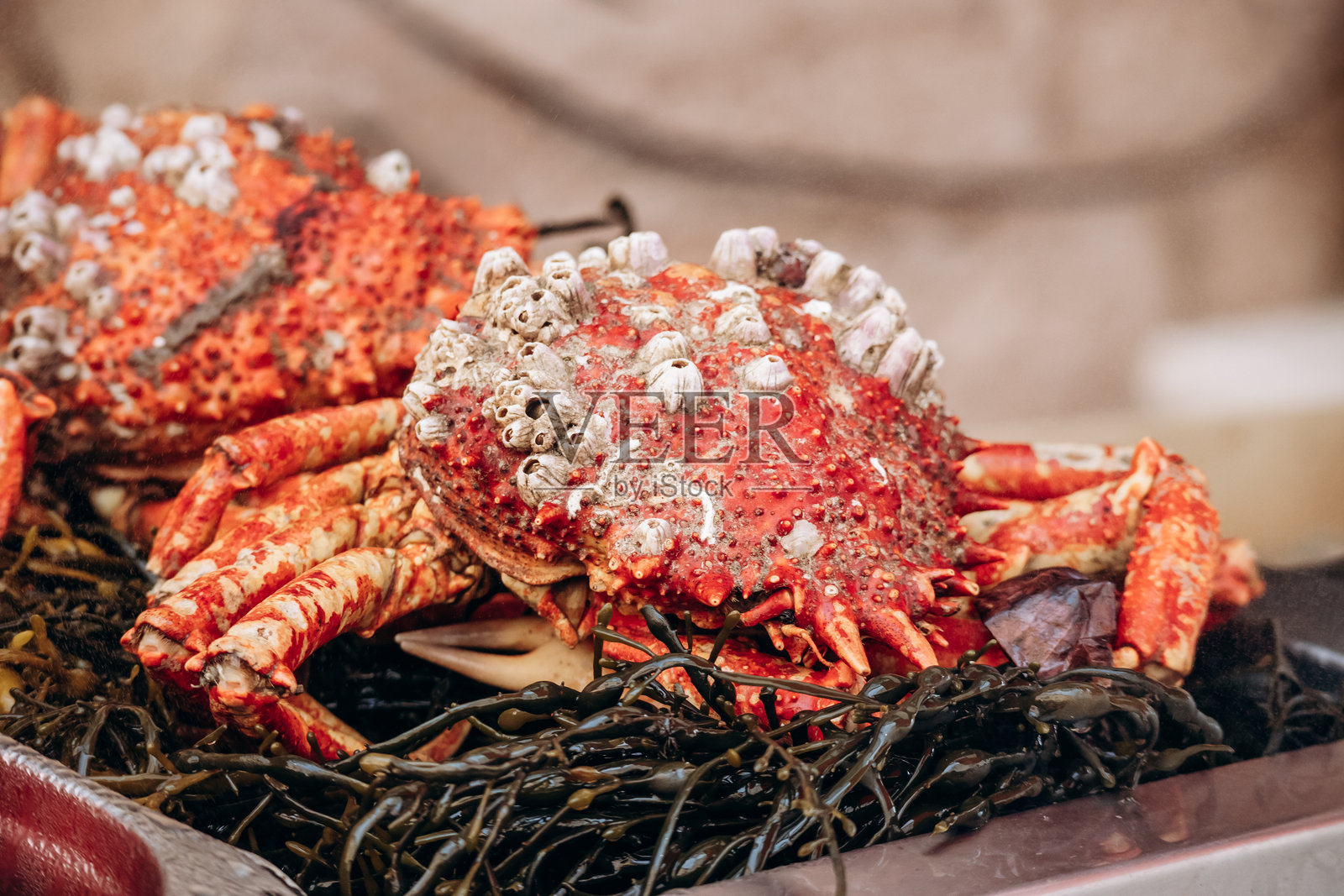 法国里维埃拉芒通市场里螃蟹的特写照片摄影图片