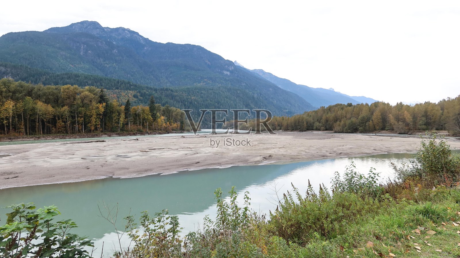 加拿大不列颠哥伦比亚省斯阔米什鹰跑照片摄影图片