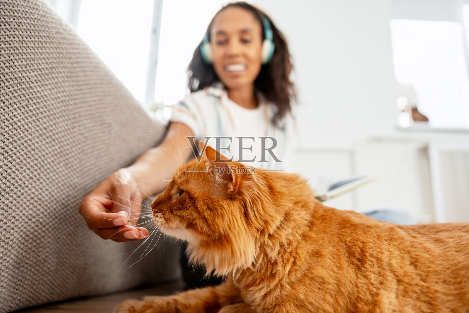 女子在家喂食姜黄色猫咪零食照片摄影图片