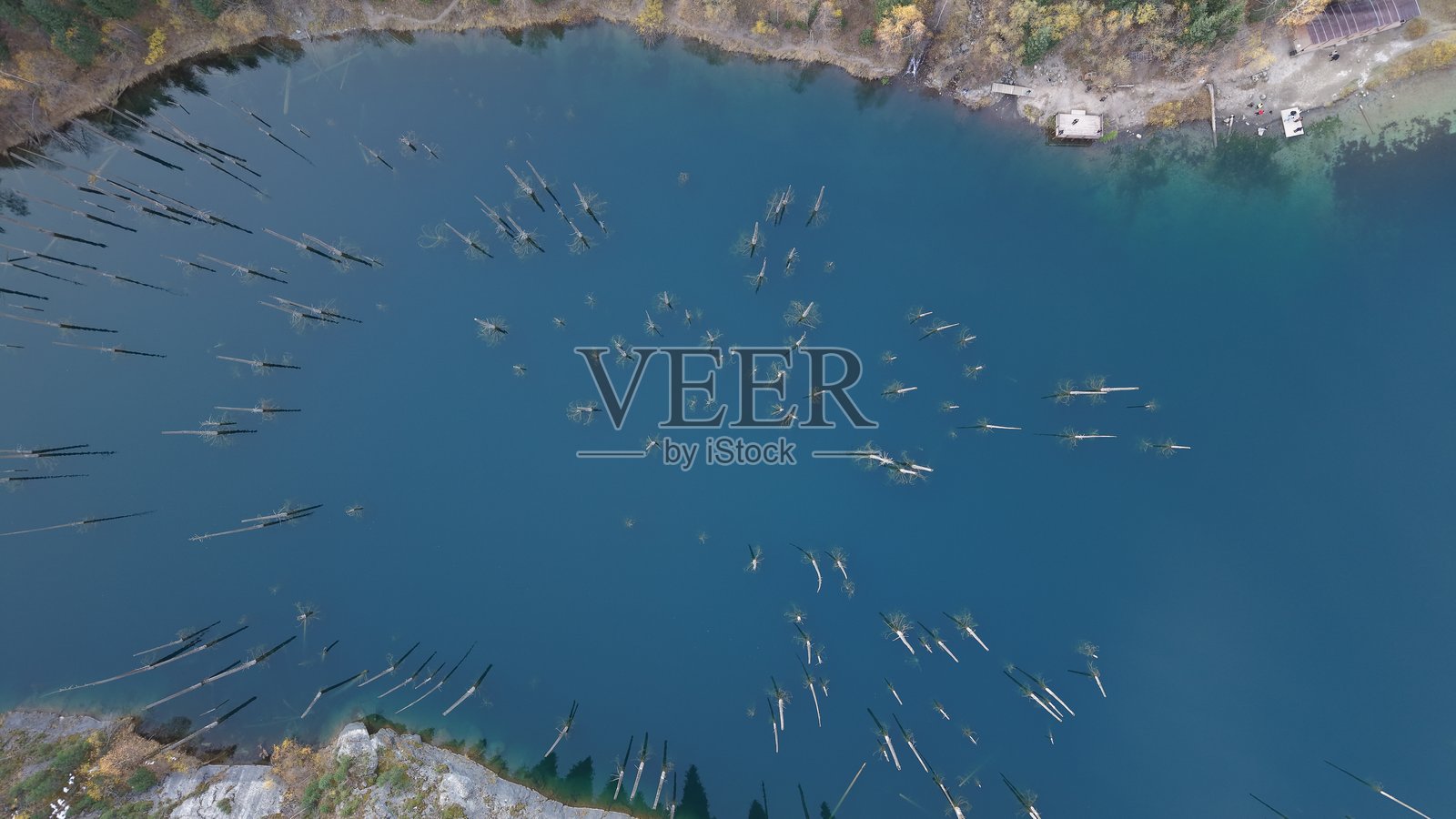俯瞰宁静的蓝色湖泊，湖中有水下树木和秋叶照片摄影图片