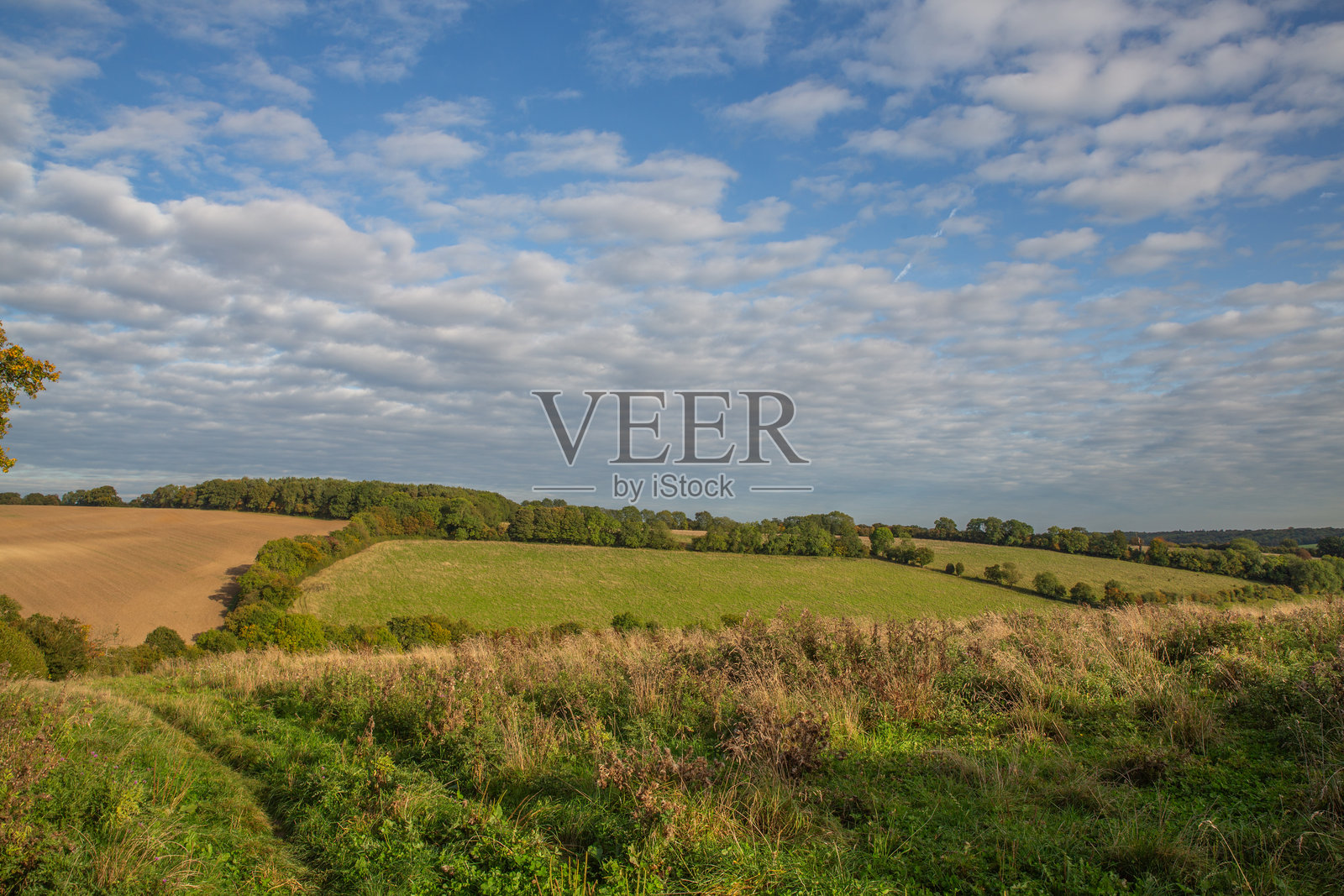 切斯山谷步道照片摄影图片
