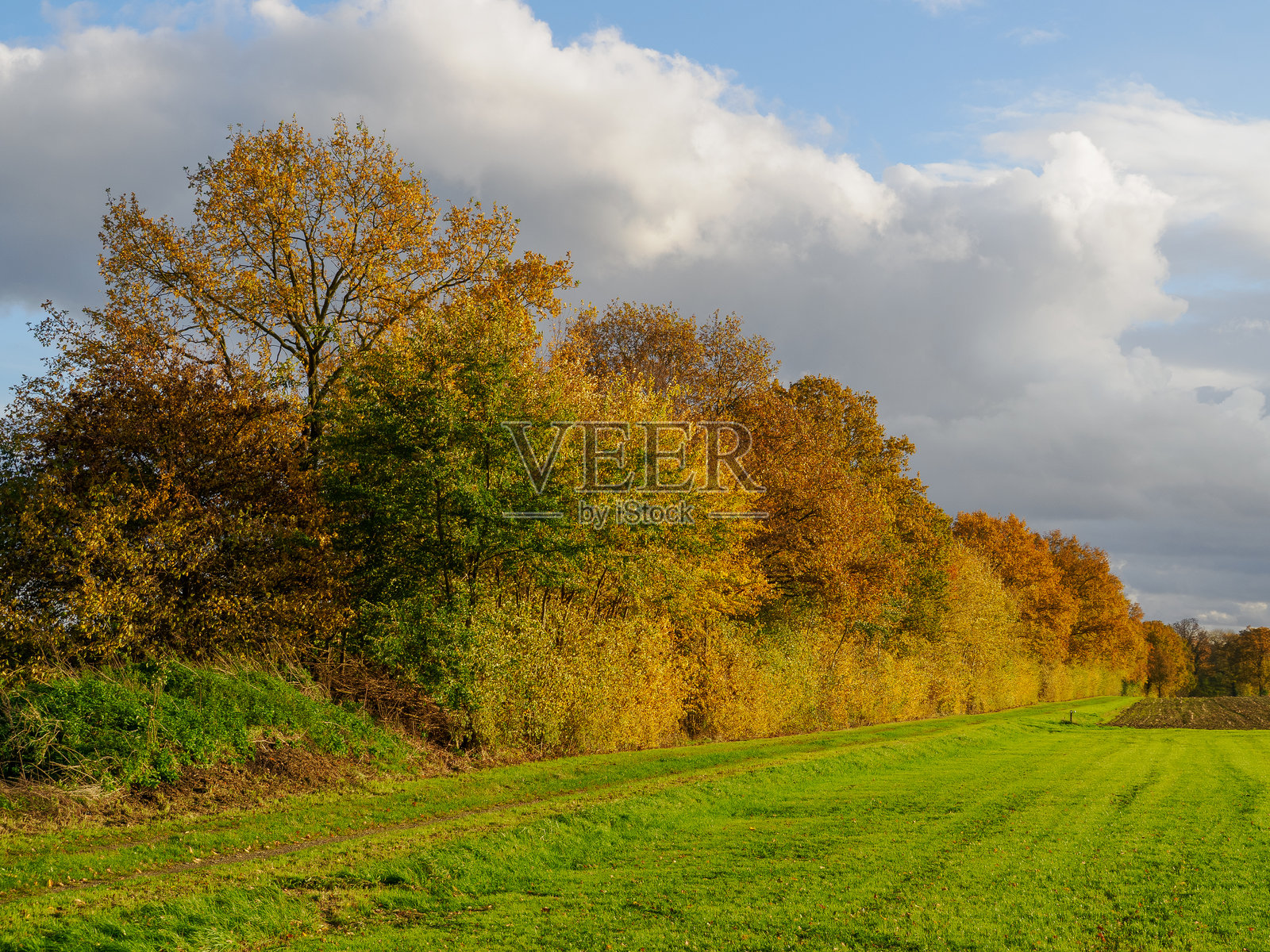 博尔肯附近明斯特兰西部阳光明媚的秋日照片摄影图片