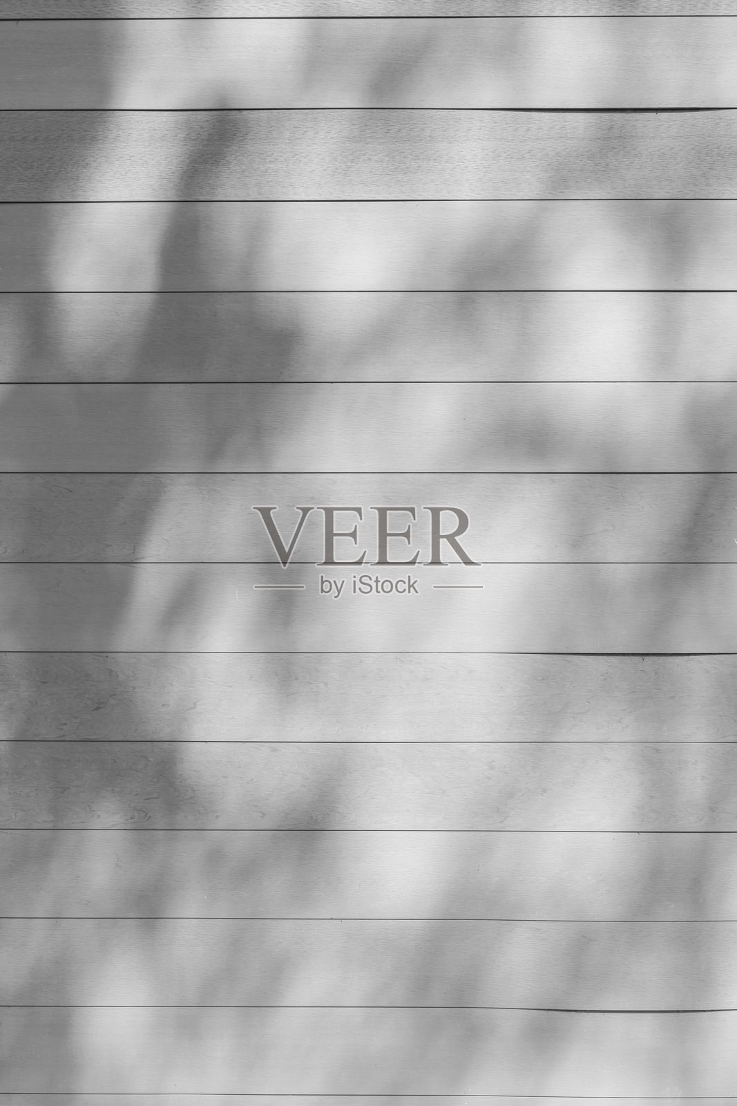 木质背景上的树木阴影照片摄影图片