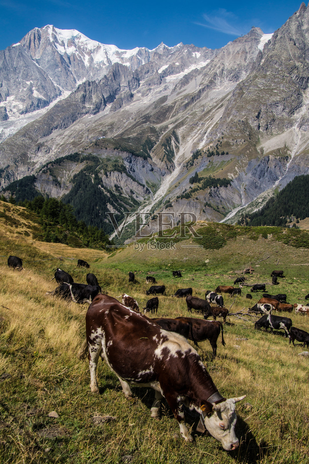奥斯塔山谷的风景照片摄影图片